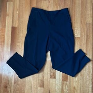 Banana Republic Hayden Pant. Navy Blue Tapered Trousers